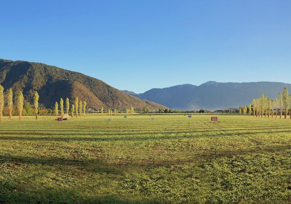 Paolillo Golf Players