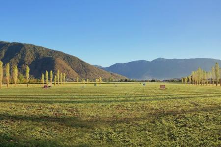 Paolillo Golf Players