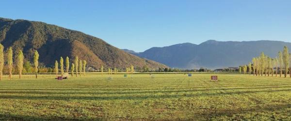 Paolillo Golf Players